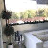 Img 0716