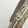 Img 5579