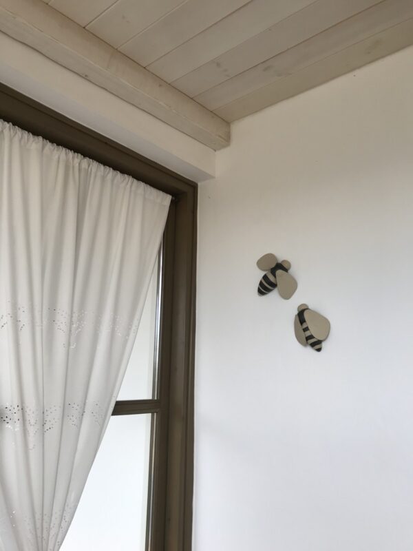 Img 0556