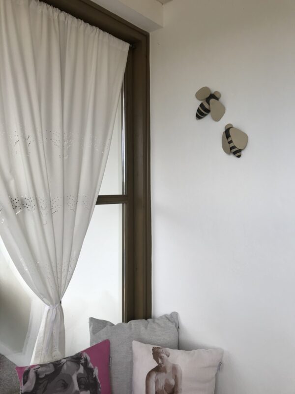 Img 0557