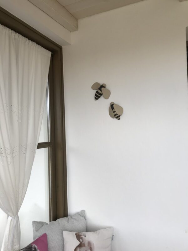 Img 0564