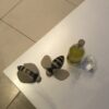 Img 0572