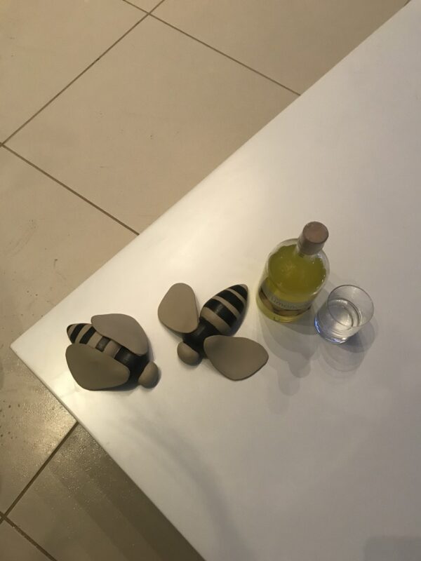 Img 0572